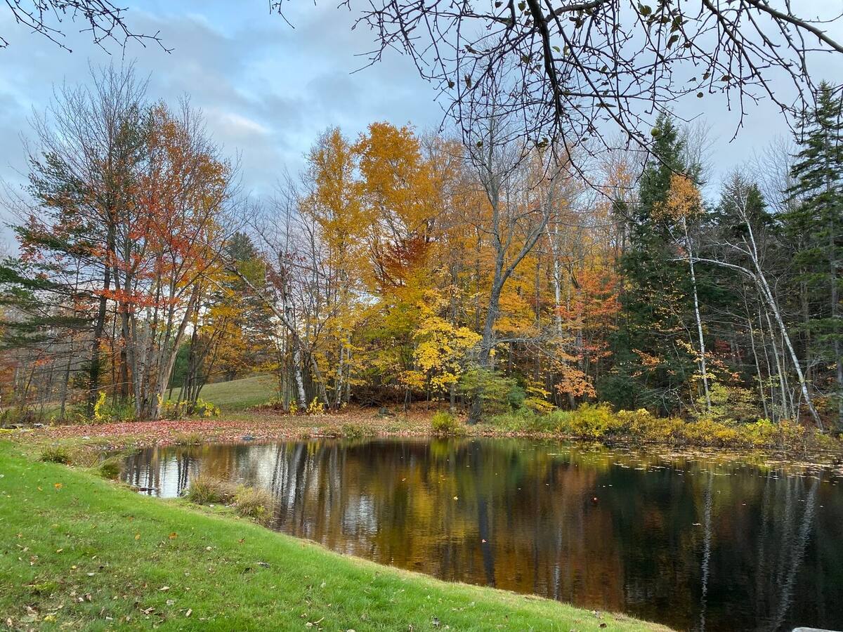 The pond behind the inn in October